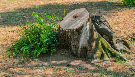 Similar image 22311350