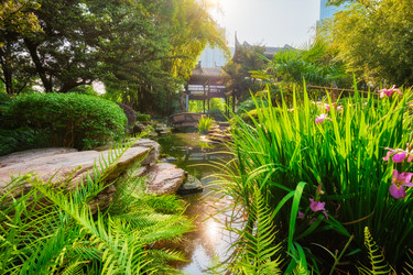 Similar image 22311644