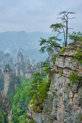 Similar image 22311646