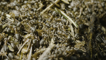 Similar image 22328408