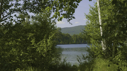 Similar image 22328742