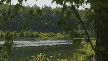 Similar image 22328745