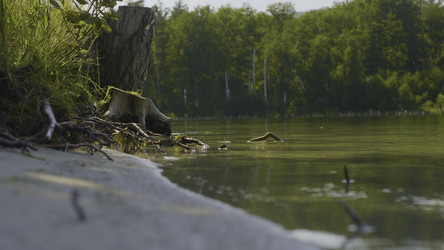 Similar image 22328747