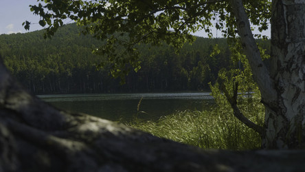 Similar image 22328748