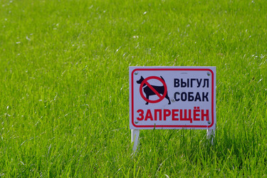 Similar image 22311939