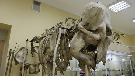 Similar image 22314388