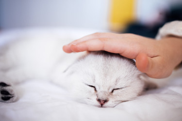 Similar image 22321156