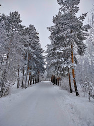 Similar image 22314927