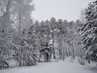 Similar image 22314929