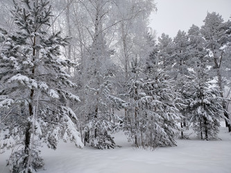 Similar image 22314930