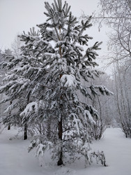 Similar image 22314931