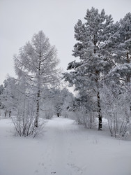 Similar image 22314934