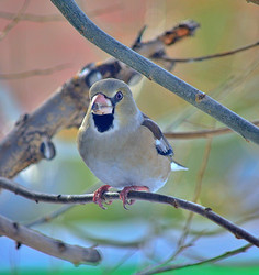 Similar image 22314937