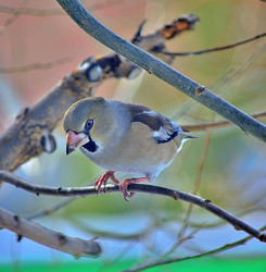 Similar image 22314938