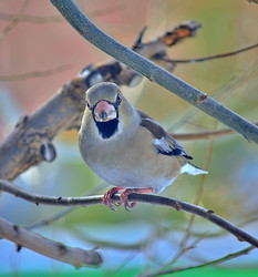 Similar image 22314939