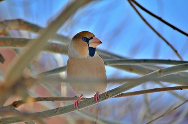 Similar image 22314940