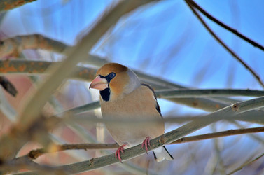 Similar image 22314941