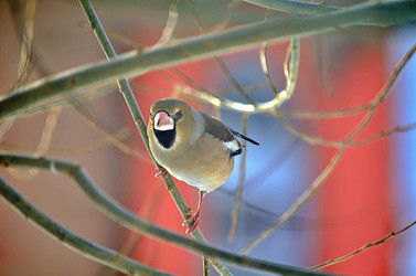 Similar image 22314942