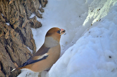 Similar image 22314943