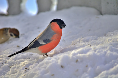 Similar image 22314944