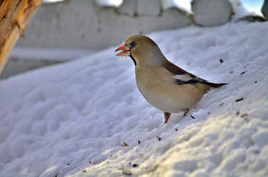 Similar image 22314945