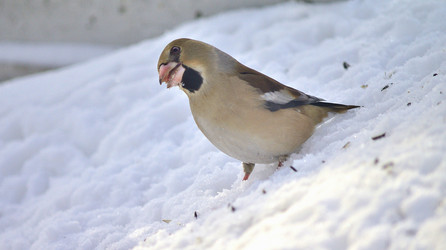 Similar image 22314946