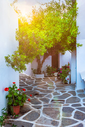 Similar image 22324776