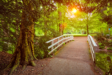 Similar image 22312600