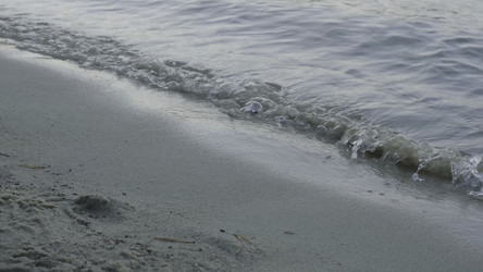 Similar image 22316065