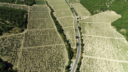 Similar image 22326078