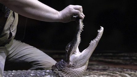 Similar image 22326082