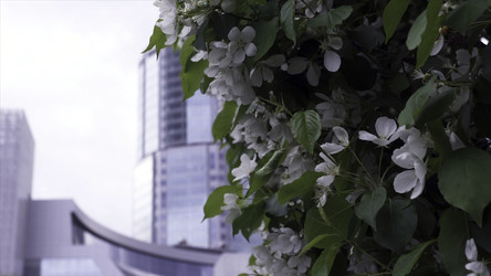 Similar image 22327877