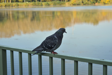 Similar image 22314948