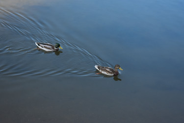 Similar image 22314949