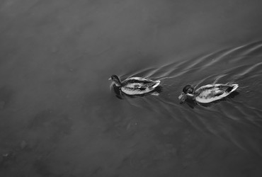 Similar image 22314950