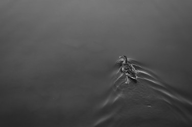 Similar image 22314951