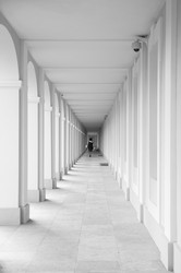 Similar image 22312312