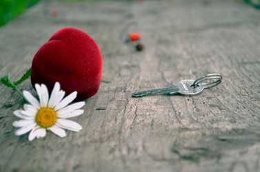 Similar image 22315590