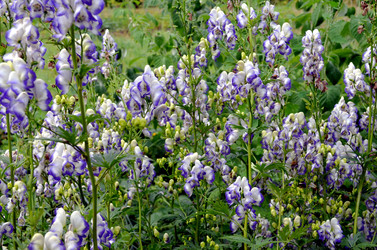 Similar image 22314953