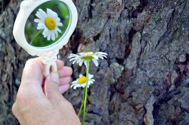 Similar image 22314955