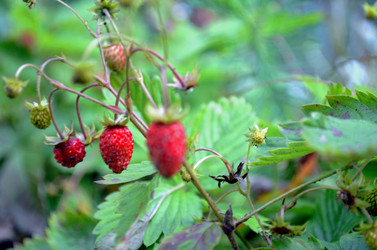 Similar image 22314956