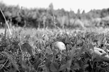 Similar image 22314957