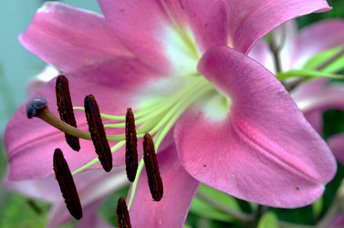 Similar image 22315080