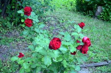 Similar image 22315081