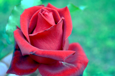 Similar image 22315082