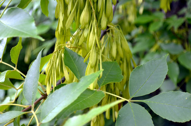 Similar image 22315084