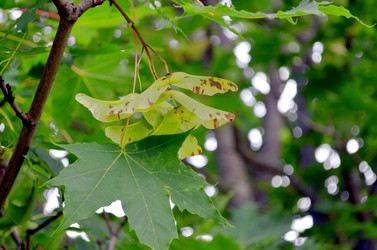 Similar image 22315085