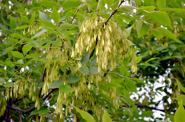 Similar image 22315086