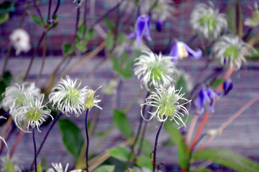 Similar image 22315087