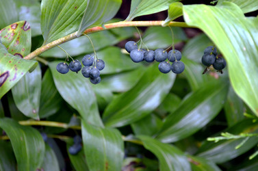 Similar image 22315088